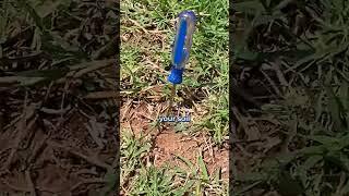 How to Test for Soil Compaction at Home for Free