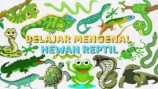 Belajar Mengenal Nama-Nama Hewan Reptil Bahasa Indonesia & Bahasa Inggris  Learn Names of Reptiles