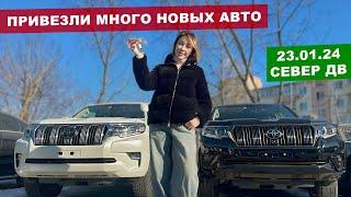 Привезли PRADO ALPHARD FORESTER и ещё много чего из ЯПОНИИ Север ДВ