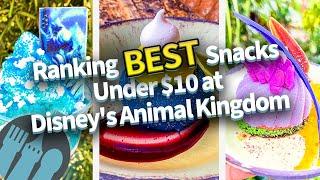 Ranking the BEST Snacks Under $10 at Disneys Animal Kingdom