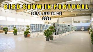 Bird Show in Portugal - Expo Ave 2023 3Cês - More than 1000 BIRDS  - 4K Full of different species.
