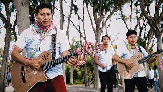 Ayrampito  Carnaval de mis Amores  Vídeo Carnaval 2020