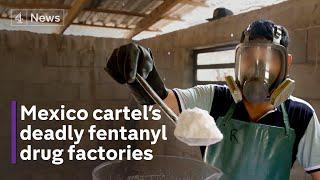 Inside the fentanyl cartel Mexico crime lords feeding US addiction