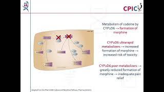 CPIC guideline for codeine and CYP2D6