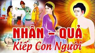 18 Chuyện Nhân Quả Đời Sống Kiếp Con Người Nhân Quả Báo Ứng Có Thật  Luật Nhân Quả Không Chừa 1 Ai