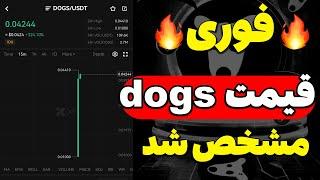 قیمت ارز dogs مشخص شد