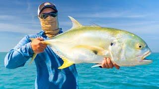 We Found BIG Schools of Jack Crevalle Off The Beach