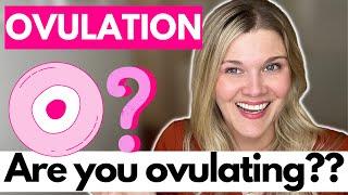 Ovulation Are You Ovulating? What Are The Signs You Are Not Ovulating?