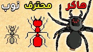 محاكي النملة - Pocket Ants Colony Simulator