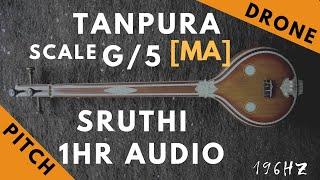 Tanpura Sruthi - Drone - G Scale or 5 Kattai - Ma Madhyamam Madhyam - 196Hz