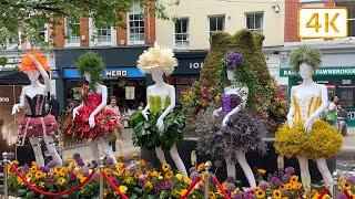 Manchester Flower Festival 2024  Manchester City Centre  Virtual Walk