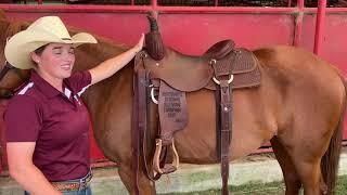 Good Horse How to Properly Fit a Western Saddle