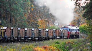 M62K-1181 with maintenance train  Тепловоз М62К-1181 с хозяйственным поездом