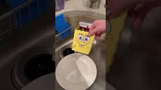 this little spongebob is an actual sponge  #shorts #spongebob #spongebobsquarepants