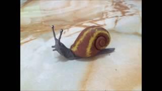 Como hacer un caracol de plastilina SUPER FACIL   How to make a snail with clay