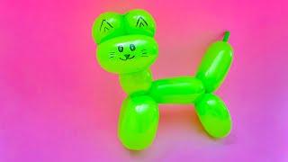 How to Make Balloon Cat Balloon Twisting