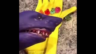 Shark Puppet Thanos