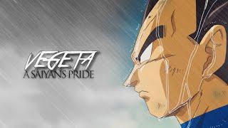 Prince Vegeta  A Saiyans Pride Both Cuts DBS