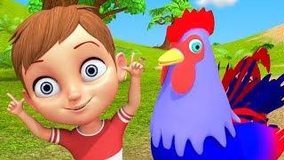 Kukdoo Koo  Nursery Rhymes In Hindi on Animals  Animals Sounds in Hindi  कुकड़ू कु  Hindi Poems