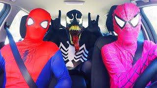 Pink Spidergirl vs Spiderman vs Venom - Superheroes Dancing in a Car - Superhero Movie In Real Life