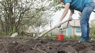 Garden Убираю корни травы после вспашки земли трактором