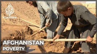 Rising poverty forces more Afghan children into work