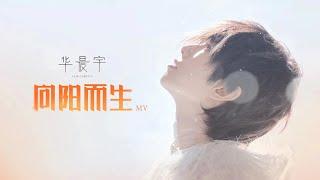 华晨宇【向阳而生】Official 官方 MV