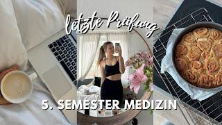 So liefen meine Prüfungen im Medizinstudium - Daily Vlog II Marieke Emilia