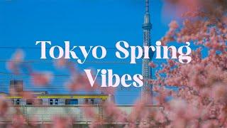 Tokyo Spring Vibes  Japanese Lofi Mix for Relaxation and Focus