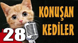 Konuşan Kediler 28 - En Komik Kedi Videoları