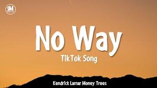 No Way TikTok Song  Kendrick Lamar Money Trees