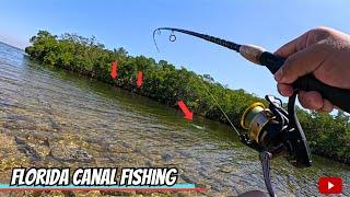 Casting in FLORIDA CANALS for ANYTHING that Bites Saltwater Fishing