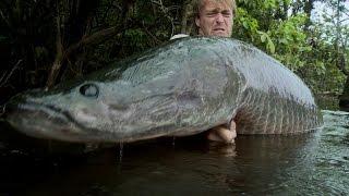 Hunting for a Giant Arapaima  Jakub Vagner Big Fish Man