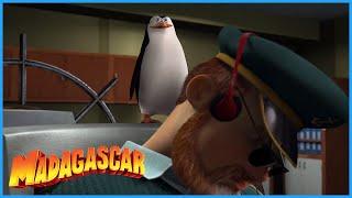 DreamWorks Madagascar  The Penguins Takes Over The Ship  Madagascar Movie Clip