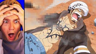 DRESSROSA IS INSANITY one piece reaction
