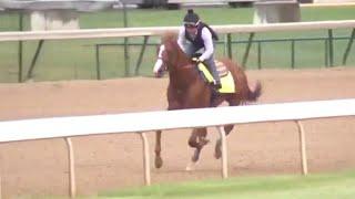 2018 Belmont Stakes Justify in the hunt for the Triple Crown