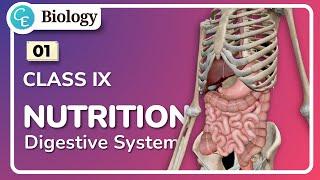 03  Nutrition Class 9  WBBSE Class 9 Life Science Chapter in Hindi  By Shifat Ahmed