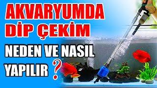 AKVARYUMDA DİP ÇEKİMİ NASIL YAPILIR?