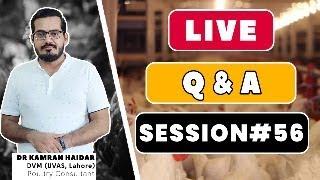 Q & A Session 56  Viral Outbreaks