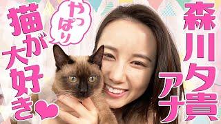 【森川夕貴アナ】ゆる〜い猫動画企画スタート【やっぱり猫が大好き】