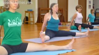 Upavista Konasana & Baddha Konasana   with Lois Steinberg Certified Iyengar Yoga Teacher Advanced 2