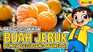 Manfaat Buah Jeruk Bagi Kesehatan - Fakta Menarik