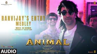 ANIMALRanvijay’s Entry Medley Audio Ranbir Kapoor A.R. RahmanThreeory Band Sandeep Bhushan K