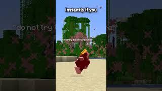 This Weapon In Minecraft BYPASSES Armour...