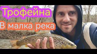 Трофейна балканка на малка река Спининг риболов на балкански пъстърви и личен рекорд