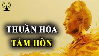 Tâm an tĩnh vui niềm vui chân thực tâm thanh tịnh vọng tưởng tự nhiên lùi.