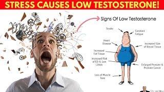 ️ WARNING Stress & Anxiety Cause Low Testosterone & Accelerated Aging - by Dr Sam Robbins