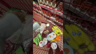 Come with me to Trader Joe’s #groceryshopping #groceryhaul #vlog #budgetgrocery #traderjoeshaul