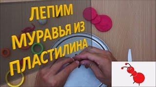 Лепим МУРАВЬЯ из пластилина Лепка животных из пластилина