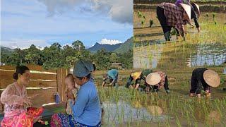 Rural LifeMy mother and I work as rice farmers to earn money to make ends meet  Nhungs daily life